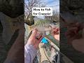 How to fish for Crappie! #crappie #crappiefishing #fishingtips #fishing #howto #kayakfishing