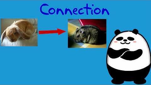 Connecting Two Pieces of Information in a Text (Part 1) | 1st Grade Reading | eSpark Instructional