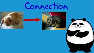 Famous Connecting Two Pieces of Information in a Text (Part 1) | 1st Grade Reading | eSpark Instructional Profile