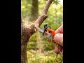 Mini Chainsaw Keychain se Real Tree Cutting! 😱 Tiny Tool Power Test 🌳🔧