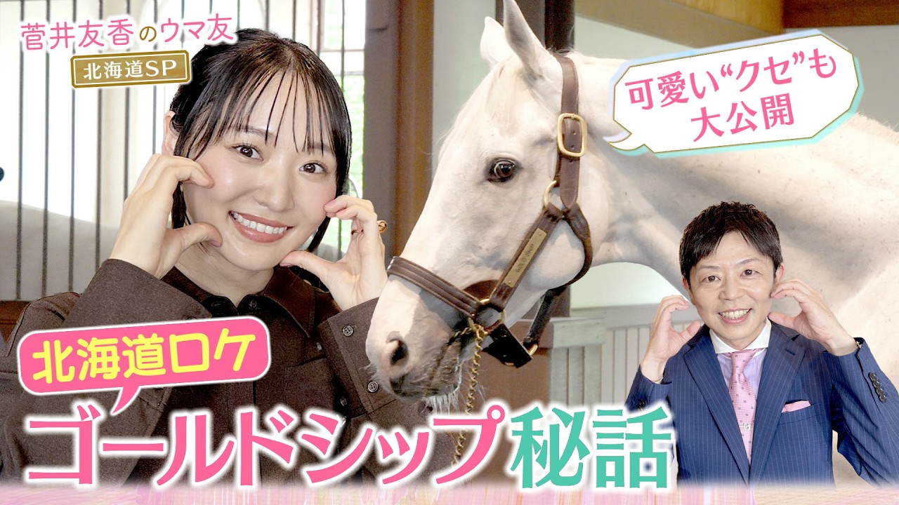 関連動画1