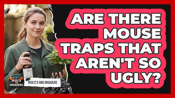 Are There Mouse Traps That Aren