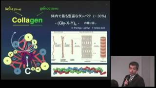 コラーゲン生合成における翻訳後修飾とその分子構造-コラーゲンを食べたらコラーゲンが出来るのか？