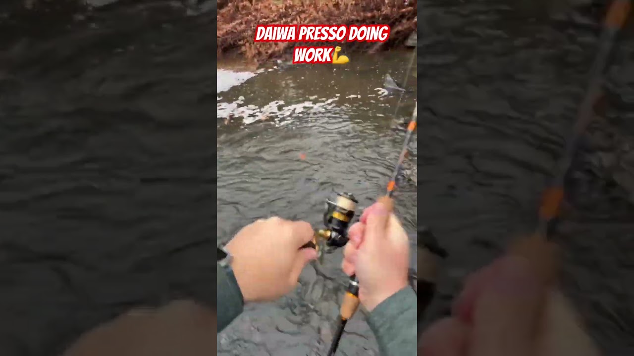 Редкая рыба из Нью-Джерси 🪾 