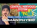 Class 11th CNS- Neural Control & Coordination | NEET 2026 Biology Concepts | Vaibhav