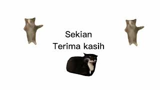 meme cat presentation ending