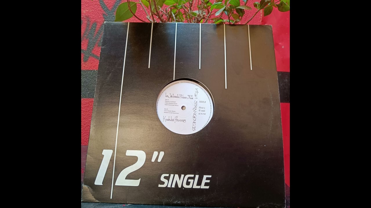 Kundalini Flavours-Gang Chakra Frenzy - Anarchy In The Panopticon (33 rpm wrong speed)