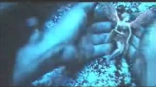 Anahi - Te Puedo Escuchar Oficial Music Video