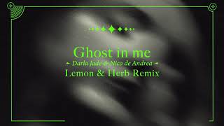 Nico de Andrea Feat Darla Jade - Ghost in Me (Lemon & Herb Remix)