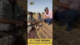 Dolly चाय वाला भी Fail👉 Live Milking खेत में Live Tea☕️ #dollychaiwala #viral #livemilking