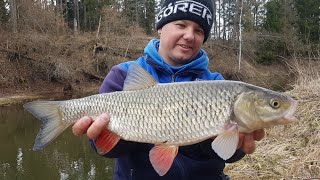 Piękne klenie w niezwykły dzień