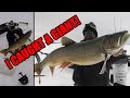 Ice Fishing GIANT LAKE TROUT! | The NEW "YOUTUBE" Record!