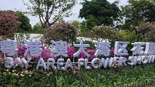 與妻子、孩子一起遊深圳筆架山公園，賞2026粵港澳大灣區花展，又度過了一個愉快而美好的週末