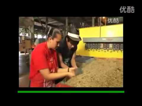 再現玄彬夏威夷之旅的醉人風采