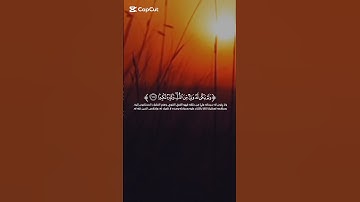 أفضل تلاوة القرآن الكريم بصوت جميل 💚 اللهم اجعل القرآن ربيع قلوبنا ونور صدورنا