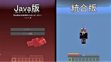 Java版と統合版の違い #7