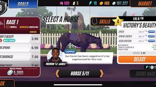 New Stallion JAVA Races Rival Stars