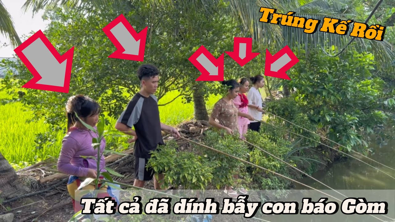 7 Người ngay thơ bị 1 Con Báo Thuận Gòm Troll lên bờ xuống ruộng và Cái Kết