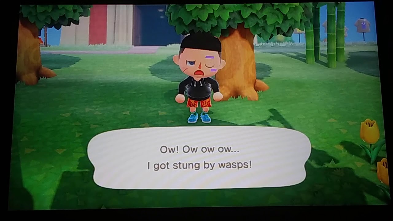 Animal Crossing New Horizons Deaths 3rd YouTube