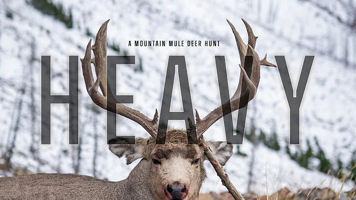 HEAVY - A Mountain Mule Deer Film