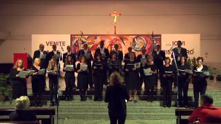 Video thumbnail of "Concerto per S.Francesco - Canzone di San Damiano"