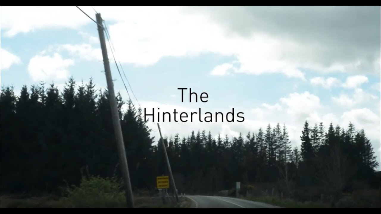 The Hinterlands, Kevin Kavanagh Gallery, 2014