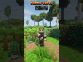 Best Minecraft Mods! #21 #shorts #minecraft