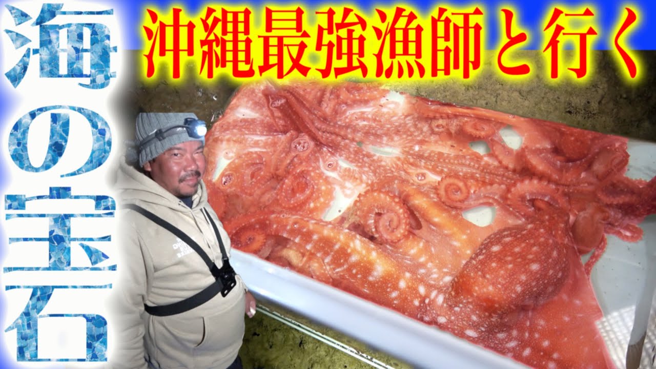 沖縄最強漁師と夜の漁で一攫千金！？釣具店で海の宝石売る！