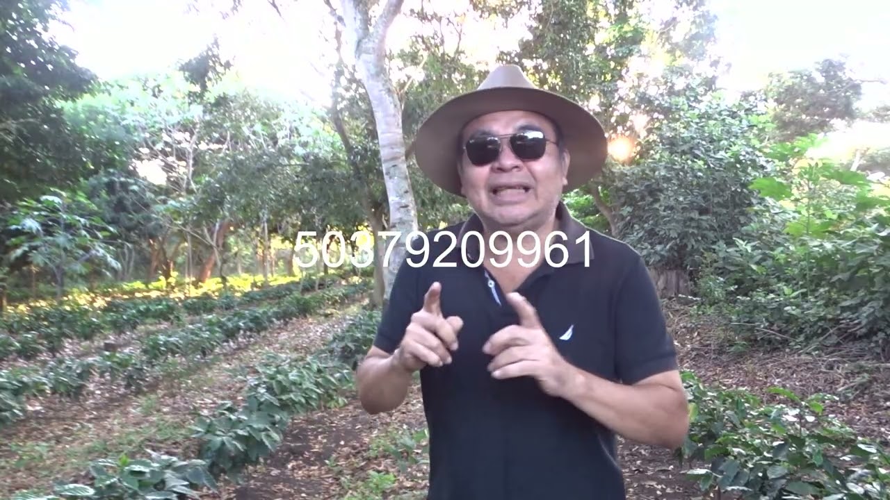 Una Caficultura con Nueva Tecnologia y Costos Económicos Para los Productores de Café.