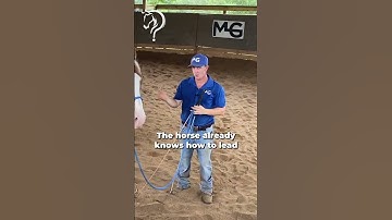 Intro To Liberty With Your Horse! Part 3! | The Horse Guru - Michael Gascon