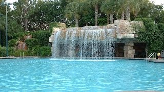 Disney World Swimming Pool Dolphin Resort Hotel