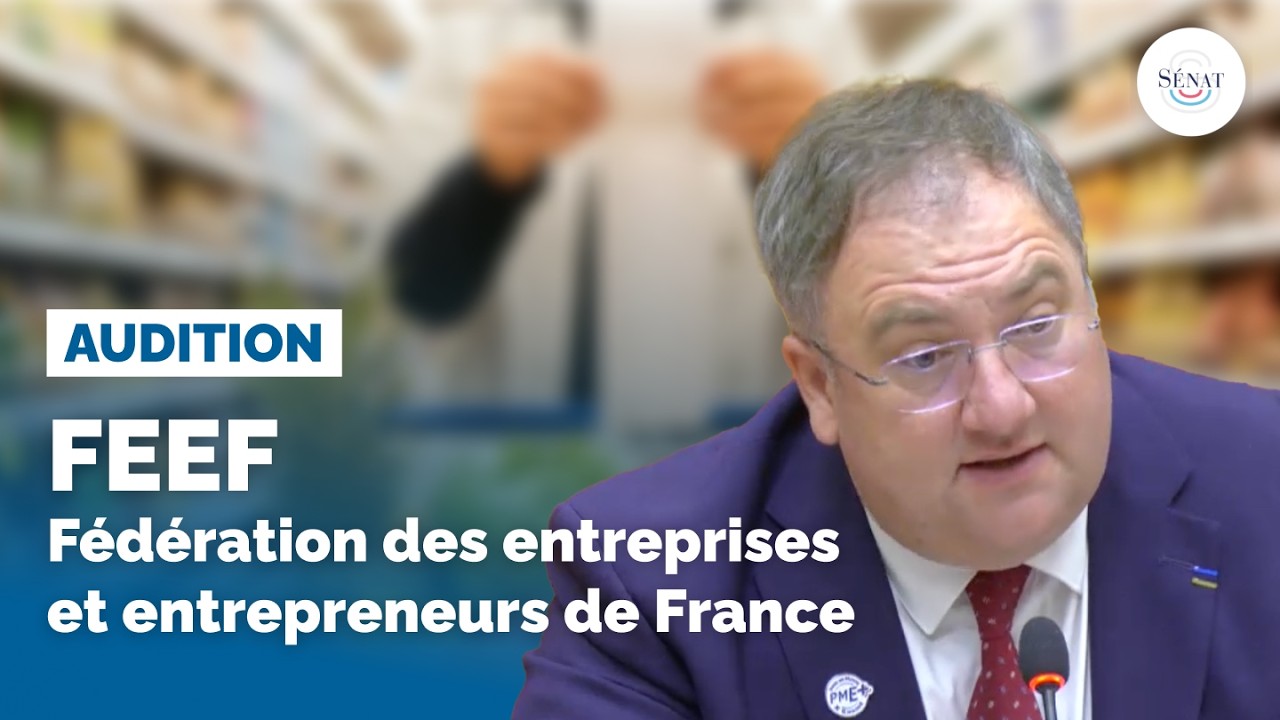 Marges de la grande distribution : audition de la FEEF