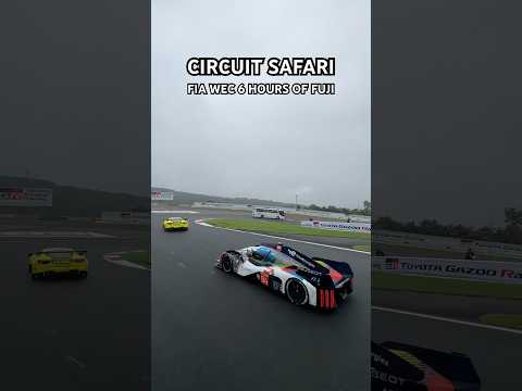 A DREAM experience 🤩