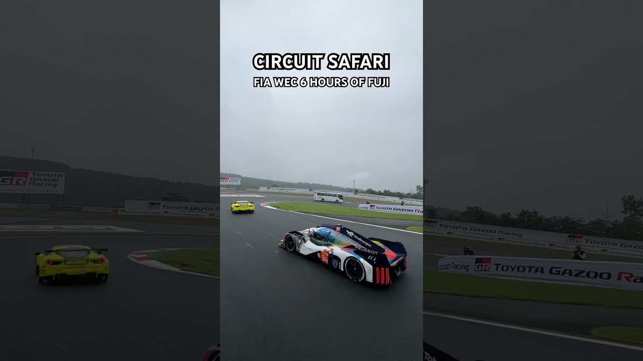 A DREAM experience 🤩