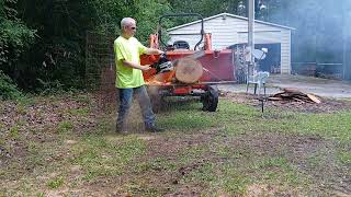 Red oak speed cut test 