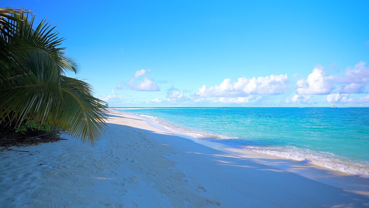 Maldives Hidden Island Retreat 🏝 Turquoise waters of the ocean 4K Ultra HD