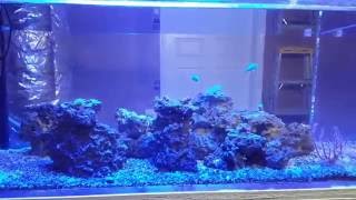 herbie overflow and plumbing for beginners
