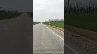 🌴 О погоде на Юге России. Виктор Саликов. Переезд на Юг.