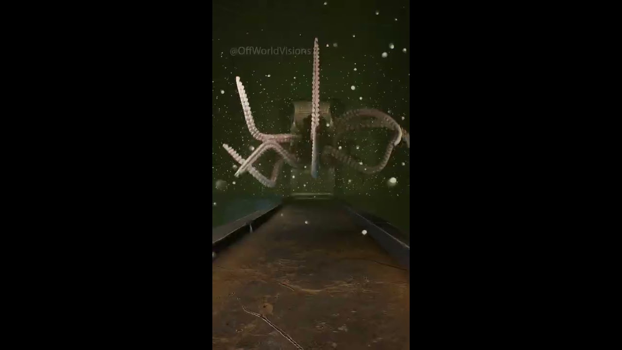 Kraken’s Temple #kraken #shorts #cg #cgi #scary #horror #videogames #animation #shortfilm