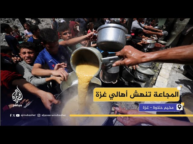 "الناس يتساقطون من شـدة الجـوع"..