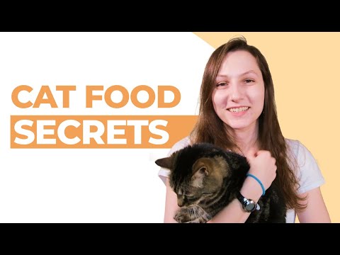 Wideo: Kiedy wybiegać i kiedy oszczędzać na karmę dla kotów, śmieci, zabawki i inne