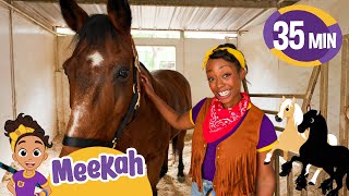 horse care day with cowgirl meekah educational videos for kids blippi and meekah kids tv