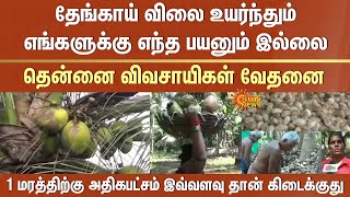 தேங்காய் விலை உயர்ந்தும் எந்த பயனும் இல்லை | Coconut farmers | Sivaganga | Tamil Nadu | Sun News