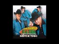 Los alegres de la sierra las mejores canciones