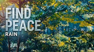 Peaceful Rain & Soft Wind Sounds 🌧️🍃 | Forest Ambience for Sleep & Relaxation screenshot 3