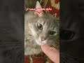 بالكم بعضني محبة اوكره مليون   اكسبلور  677 عرب مشاهير يوتيوب 