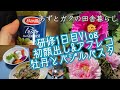 [田舎暮らしアラフィフ］研修1日目Vlog/初顔出しとアフレコにチャレンジ❣️/牡丹鑑賞/バジルパスタ/ラーメン/節約生活/日常/暮らし