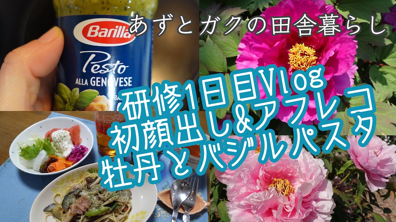 [田舎暮らしアラフィフ］研修1日目Vlog/初顔出しとアフレコにチャレンジ❣️/牡丹鑑賞/バジルパスタ/ラーメン/節約生活/日常/暮らし