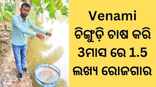Venami Shrimp farming in Odisha details video by Organic Oodisha. Shrimp Farming Venami Chingudi screenshot 4