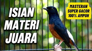 MURAI BATU GACOR FULL ISIAN TEMBAKAN MEWAH MATERI JUARA SILAHKAN BUAT MASTERAN MURAI BATU ANDA
